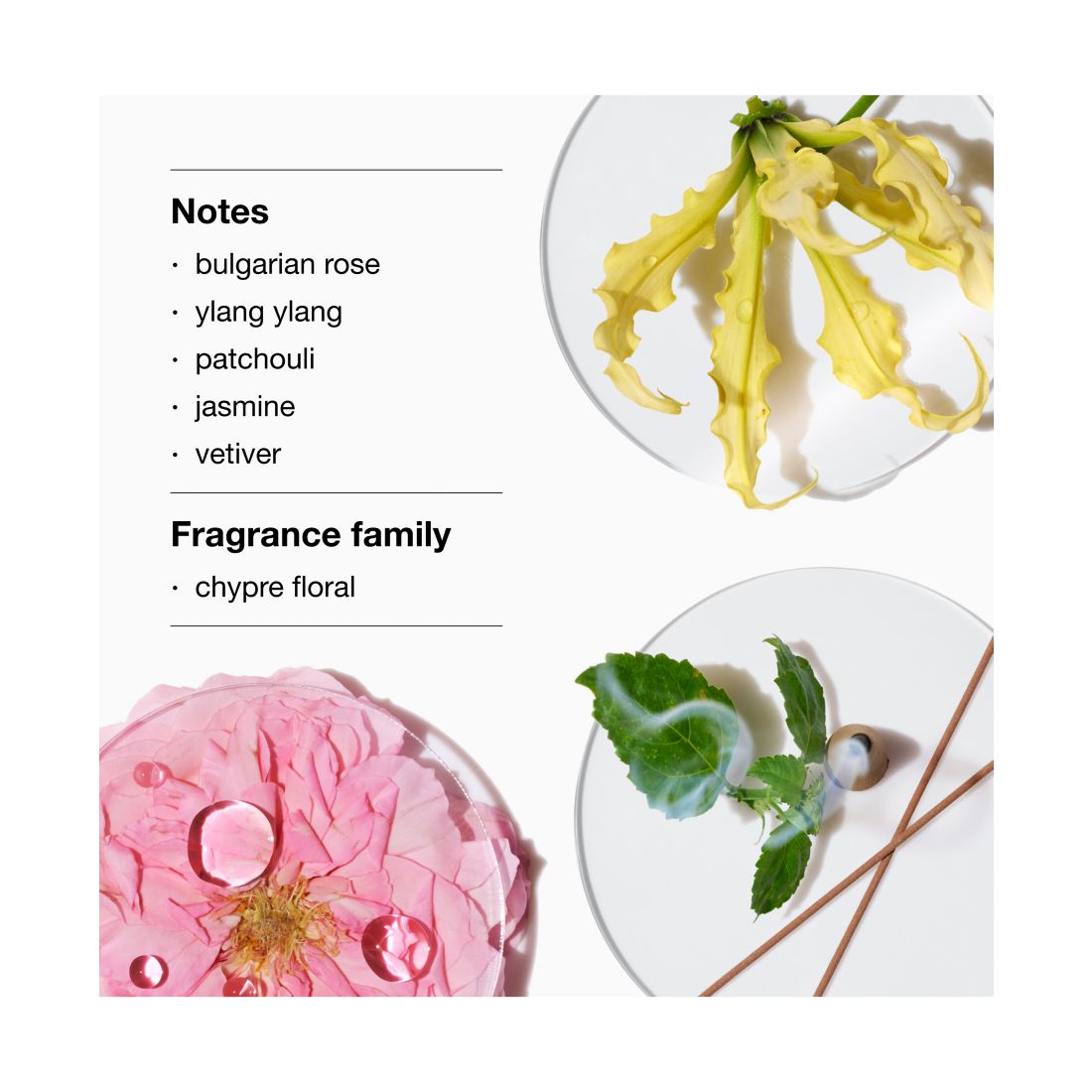 Clinique Aromatics Elixir Riches Signature Perfume Gift Set