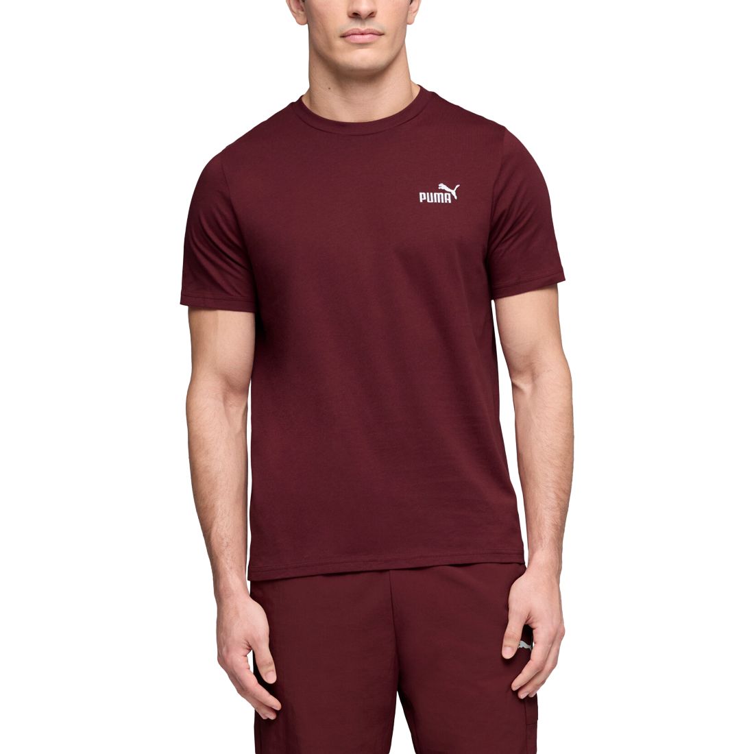 Puma Men's Essential Small Logo T-Shirt