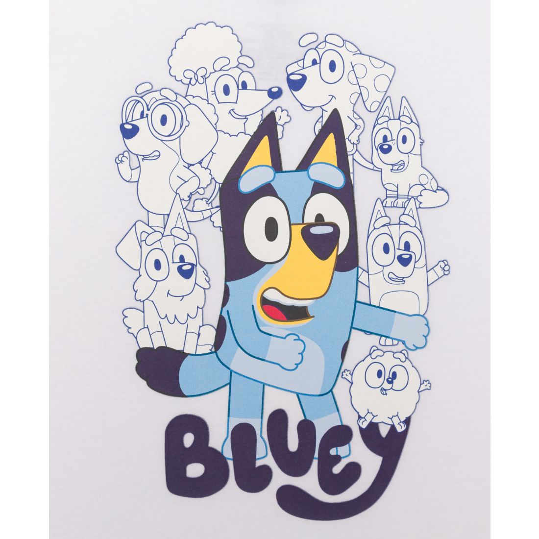 Bluey Toddler Boys 2-Piece Crewneck T-Shirt and Shorts Set