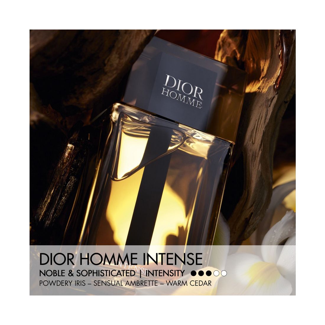 Dior Homme Intense Eau De Parfum, 3.4 oz.