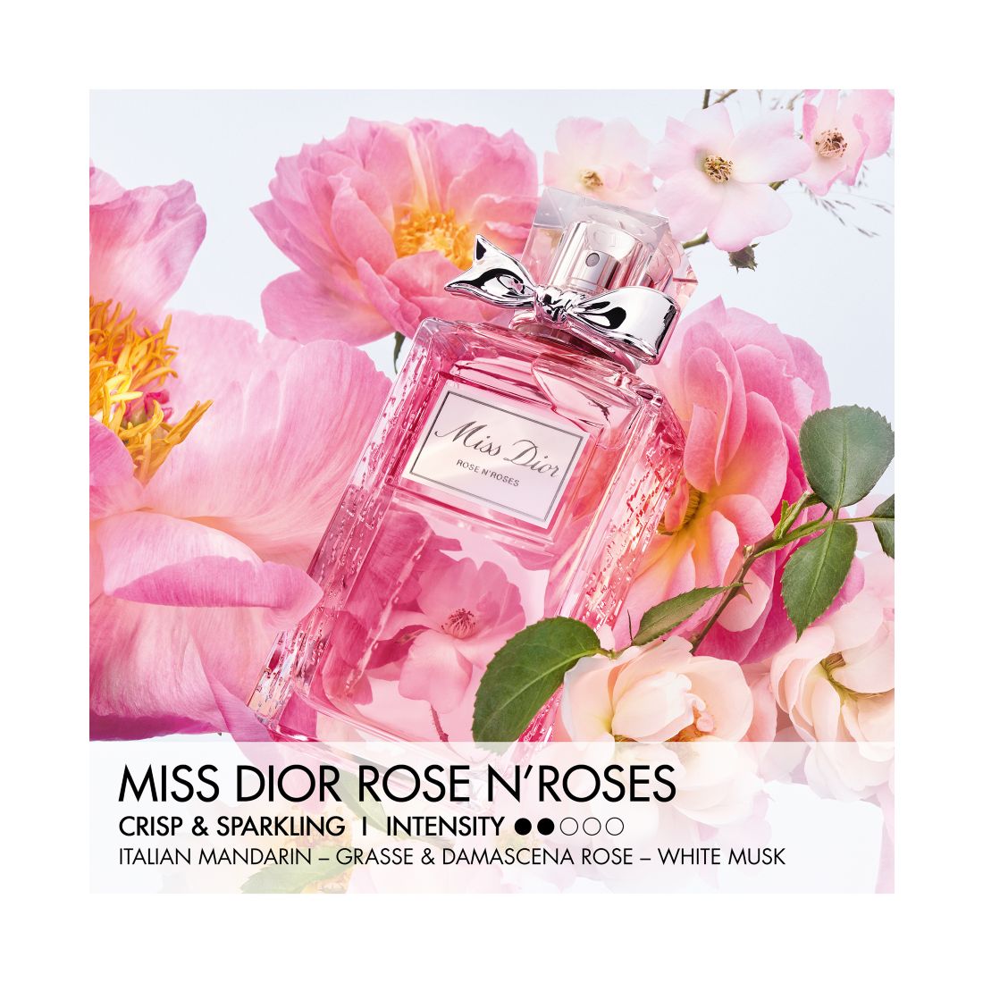 Dior Miss Dior Rose N'Roses Eau de Toilette Spray, 3.4-oz.