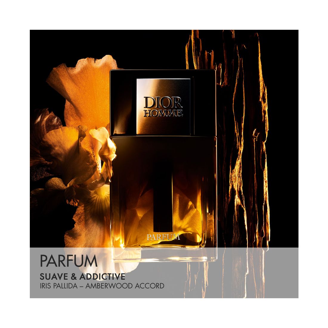 Dior Men's Homme Parfum, 2.5 oz.