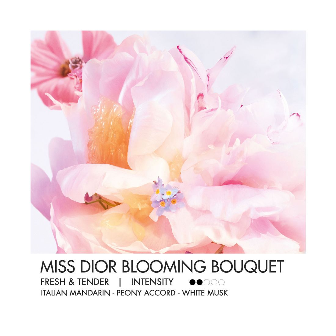 Dior Miss Dior Blooming Bouquet Mini Miss Solid Perfume, 0.11 oz.