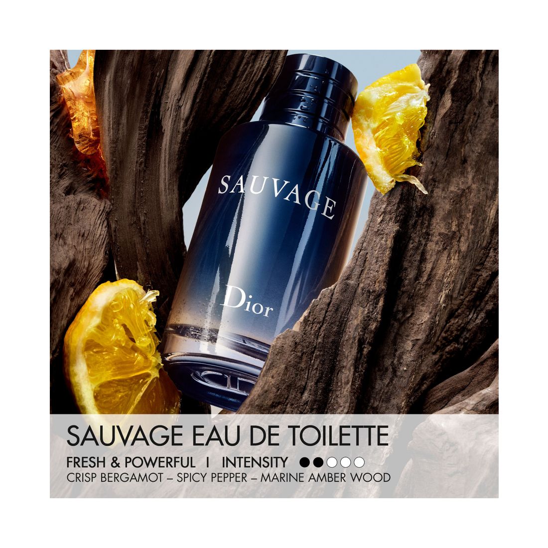 Dior 2-Pc Sauvage Eau De Toilette and Travel Spray Gift Set