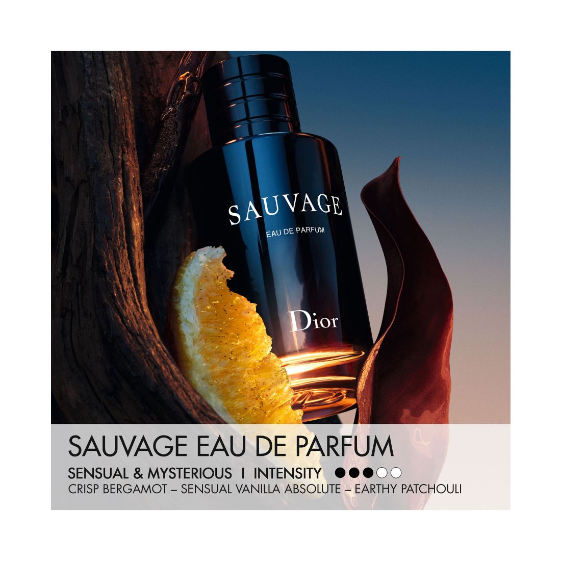 Dior 3-Pc Sauvage Eau De Parfum and Travel Spray Gift Set