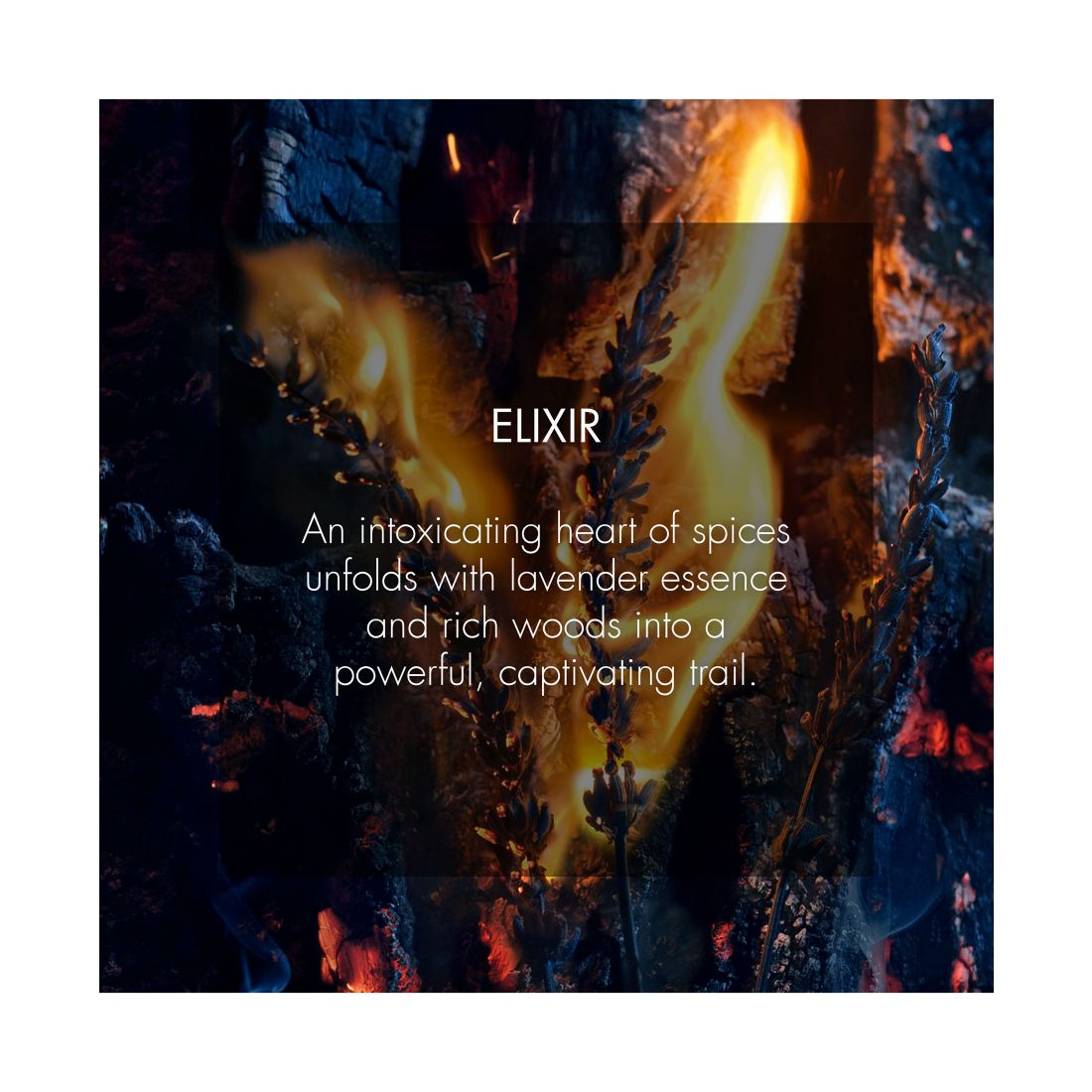 Dior Men's Sauvage Elixir Spray, 5 oz.