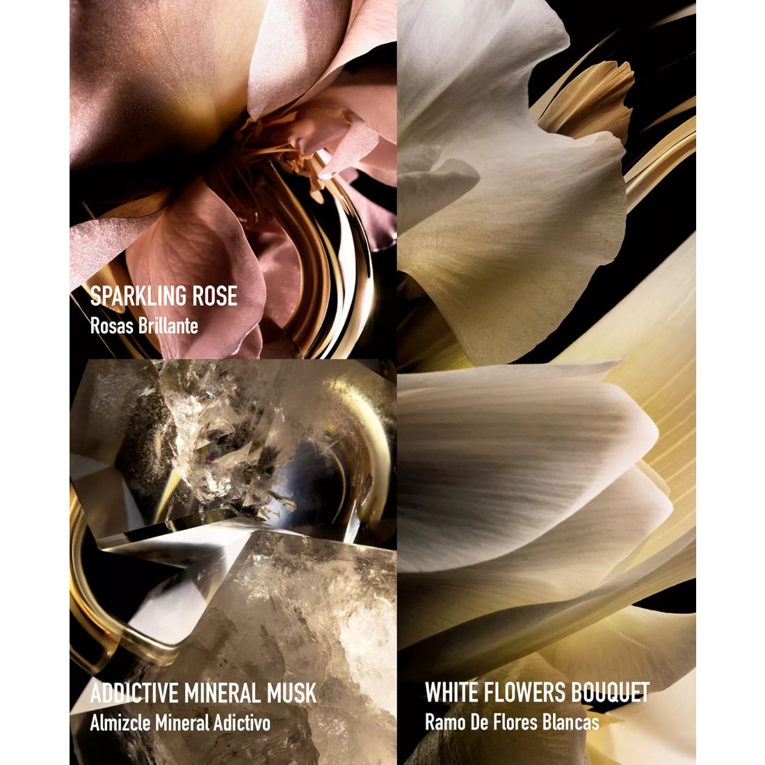 Rabanne 3-Pc. Million Gold For Her Eau De Parfum Gift Set