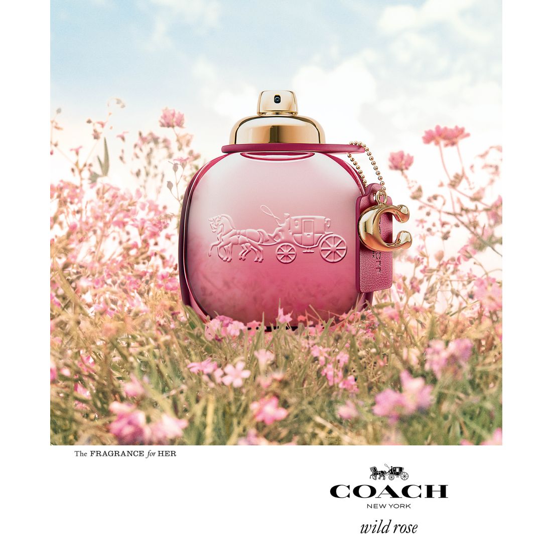 Coach Wild Rose Eau de Parfum Spray, 3 oz.