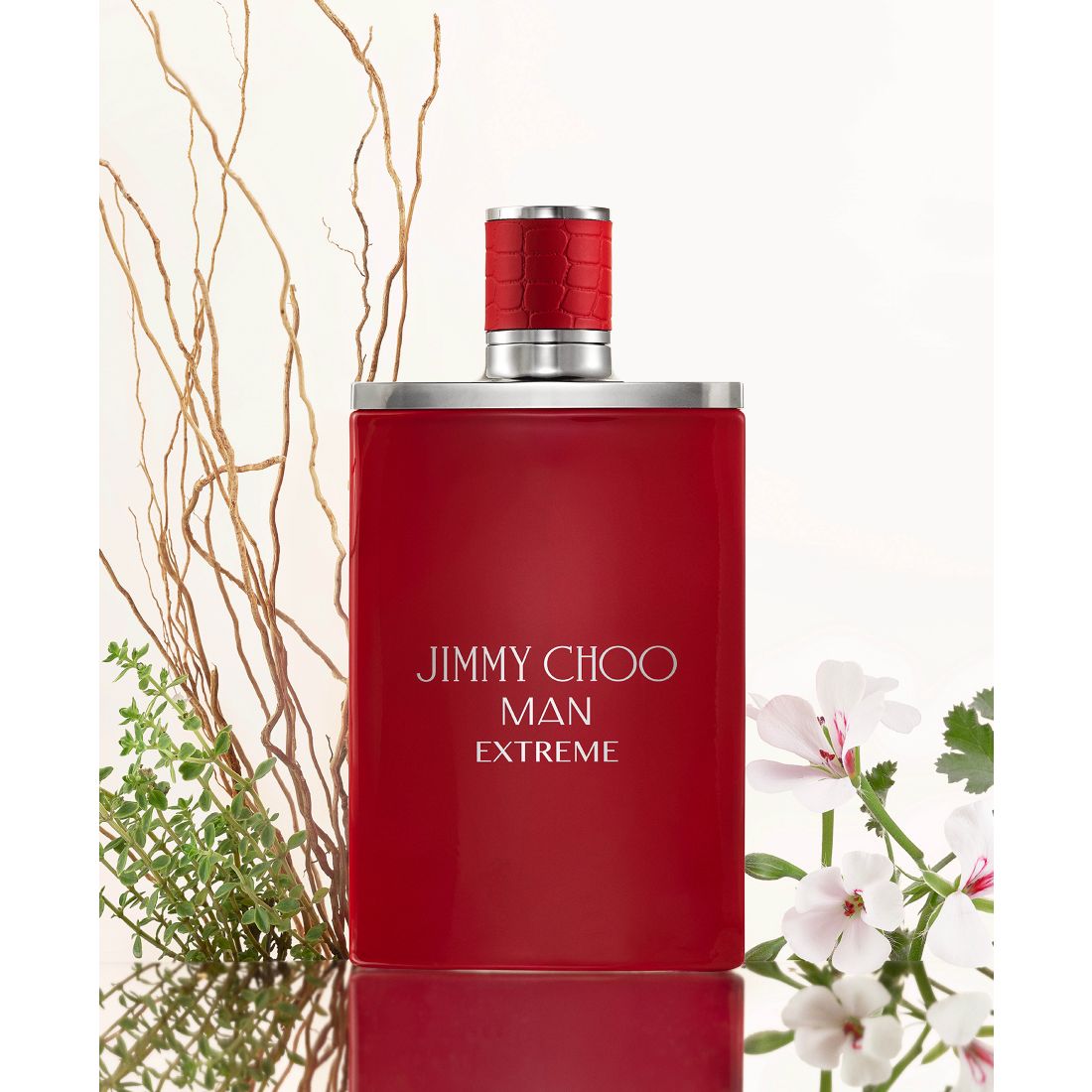 Jimmy Choo 4-Pc. Man Extreme Eau De Parfum Gift Set