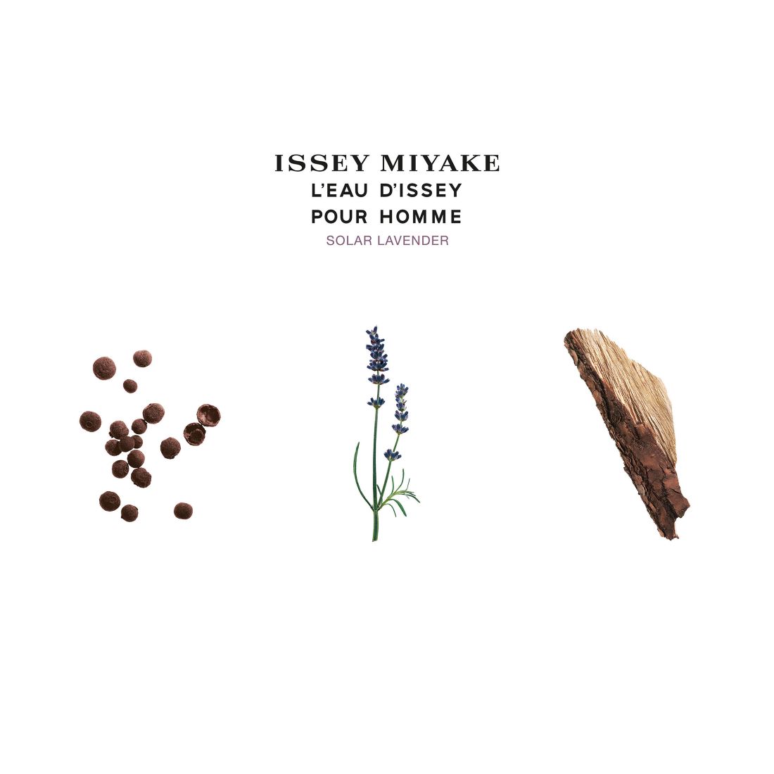 Issey Miyake Men's L'Eau d'Issey Pour Homme Solar Lavender Eau de Toilette Intense Spray, 3.3 oz.