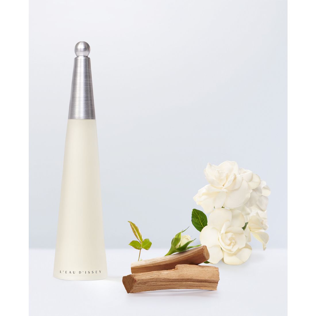 Issey Miyake L'Eau d'Issey Eau de Toilette Purse Spray, 0.84 oz.