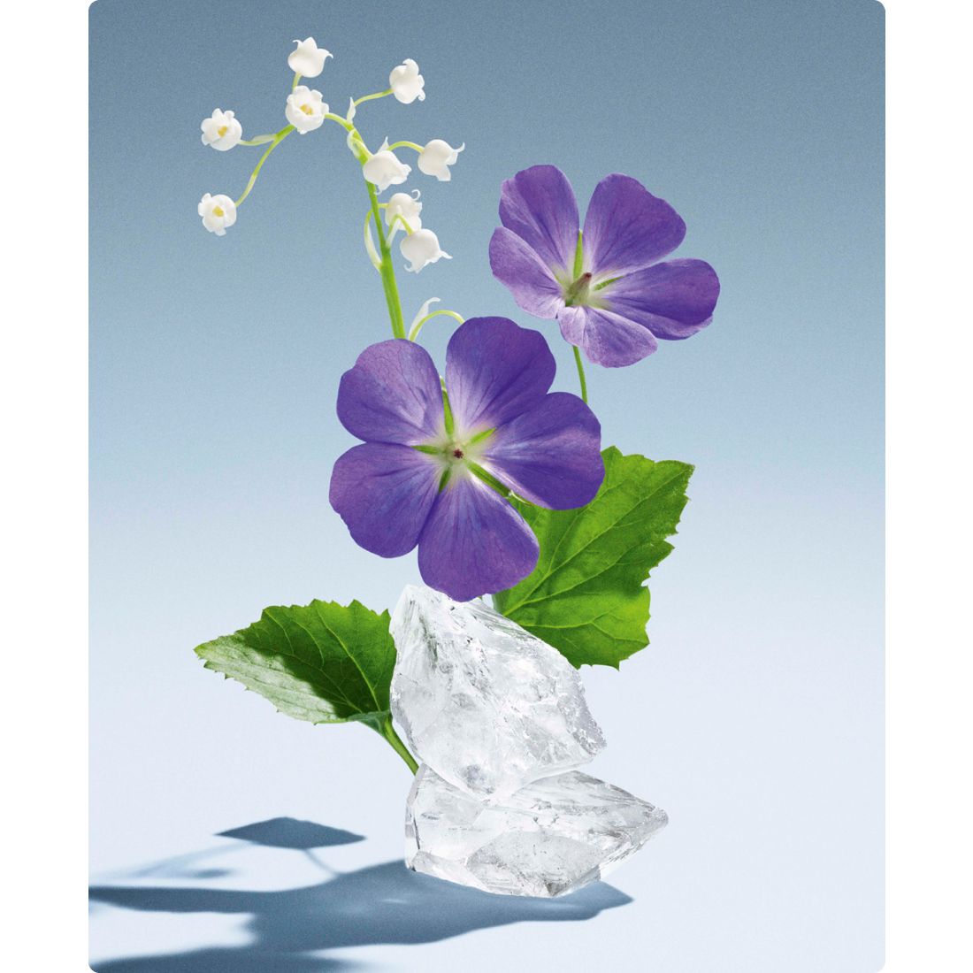 Miu Miu L'Eau Bleue Eau de Parfum, 3.3 oz.