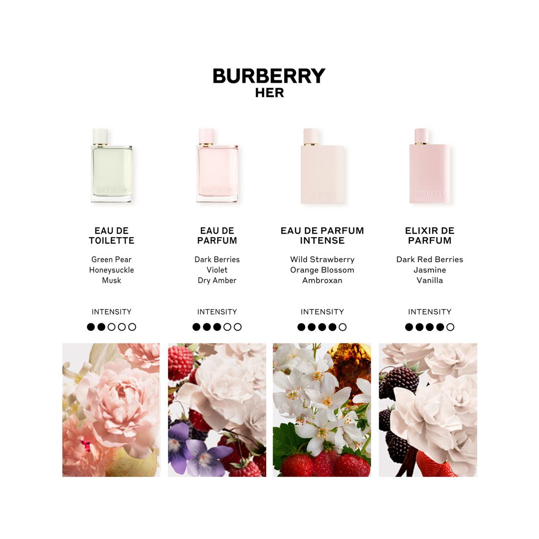 Burberry Her Eau de Parfum Spray, 3.3-oz.