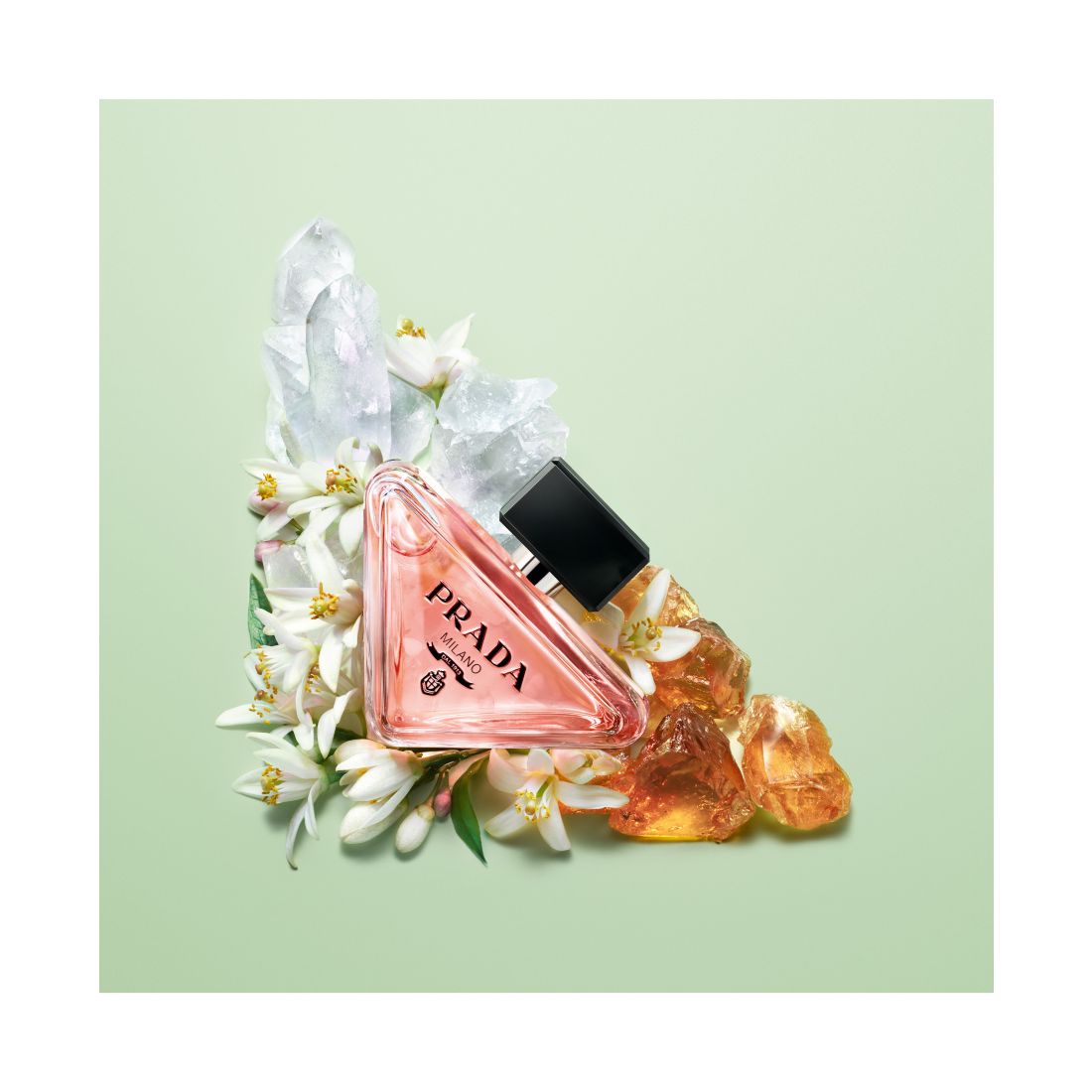Prada 3-Pc. Paradoxe Eau de Parfum and Lotion Gift Set