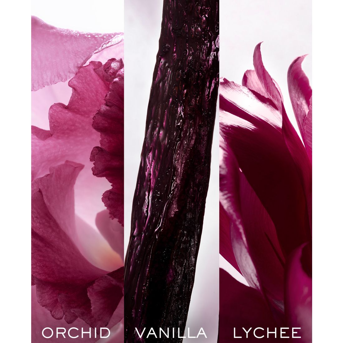 Lancome 3-Pc. La Nuit Tresor Fragrance Gift Set