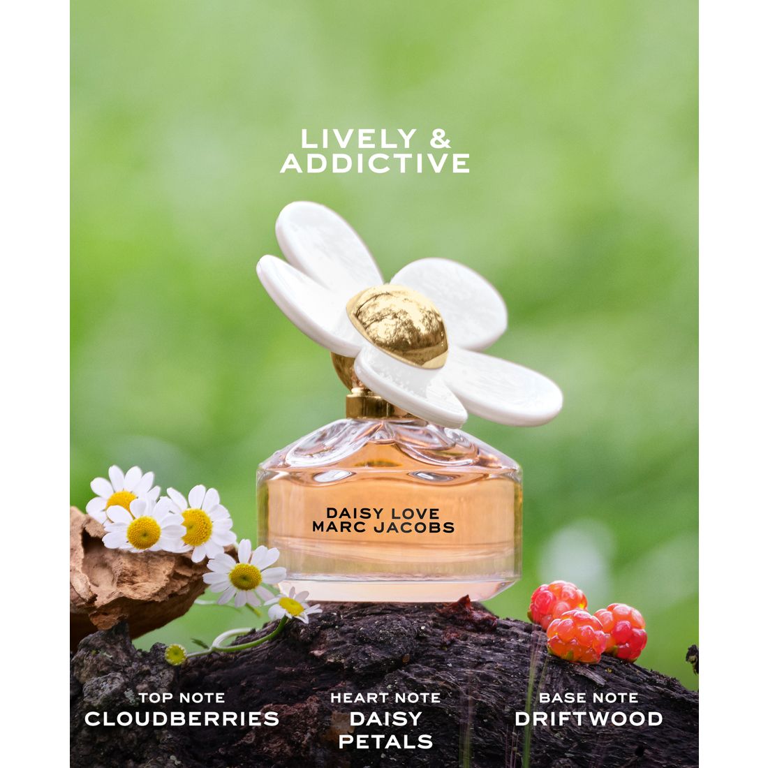 Marc Jacobs 3-Pc. Daisy Love Eau de Toilette Gift Set