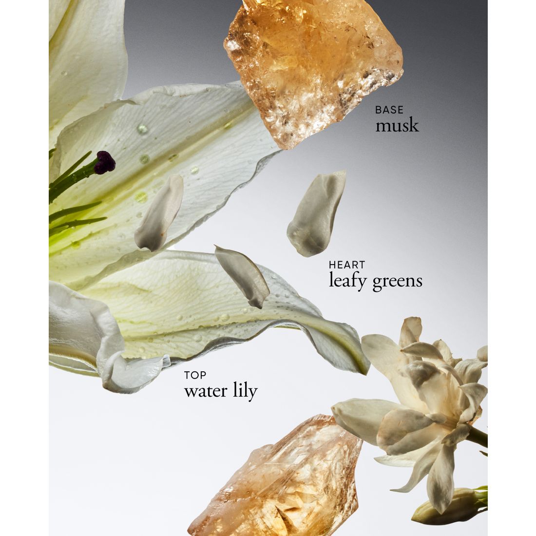philosophy 3-Pc. Pure Grace Eau de Toilette Gift Set, Exclusively at Macy's