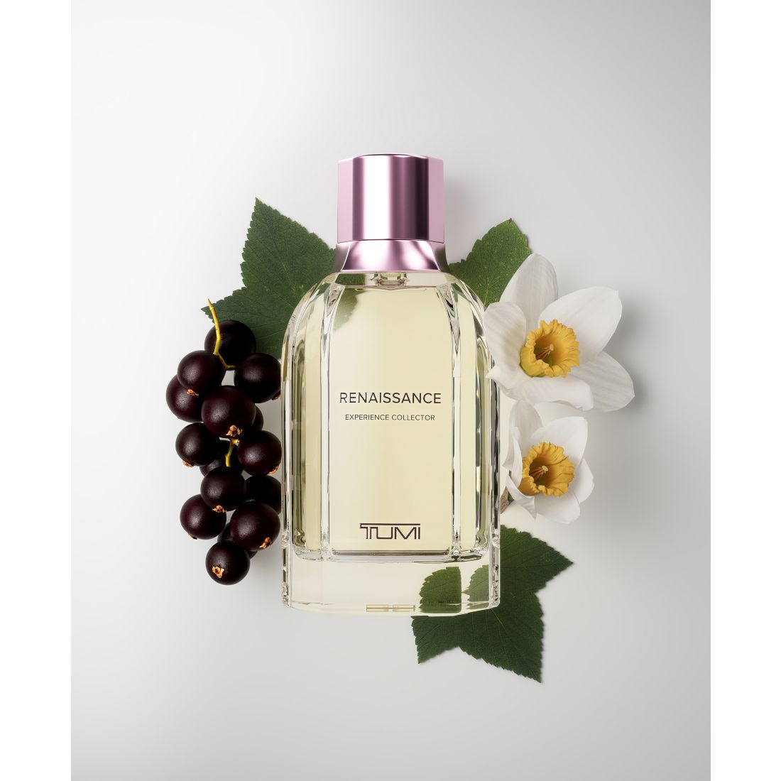 Tumi 3-Pc. Renaissance Experience Collector Gift Set