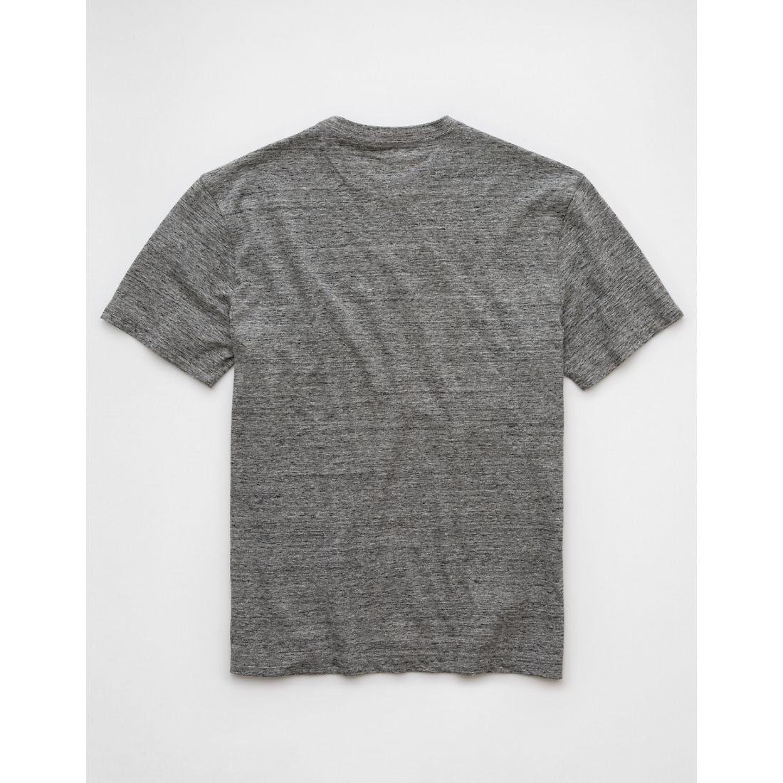 AE Logo Lived-In T-Shirt