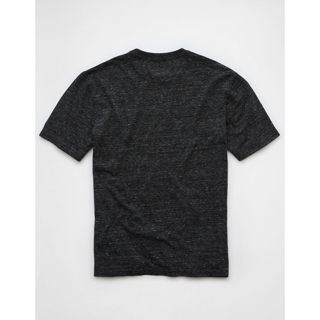 AE Logo Lived-In T-Shirt