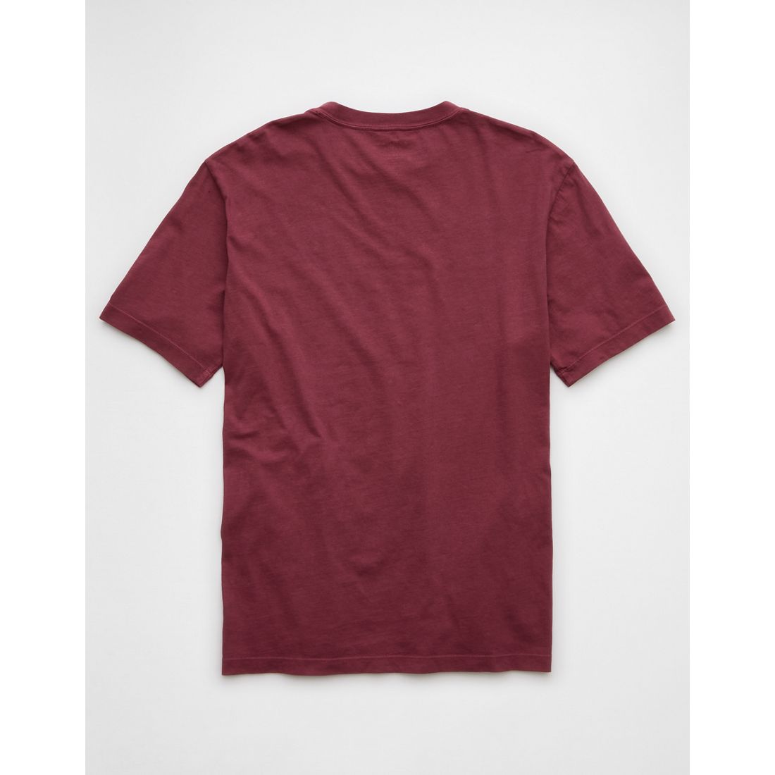 AE Logo Lived-In T-Shirt