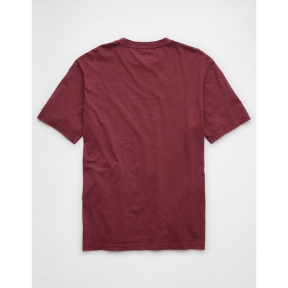 AE Logo Lived-In T-Shirt