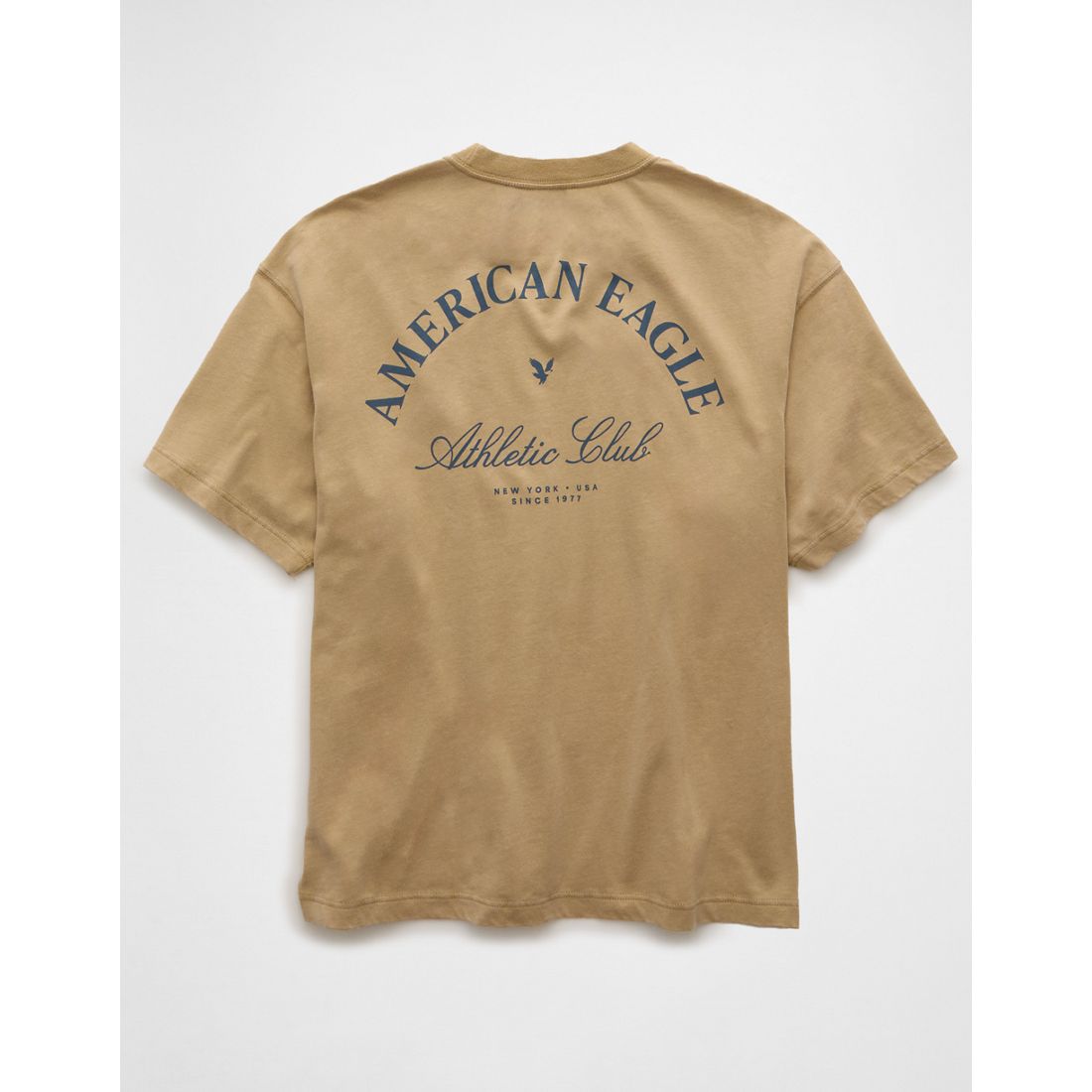 AE Boxy Logo Graphic T-Shirt