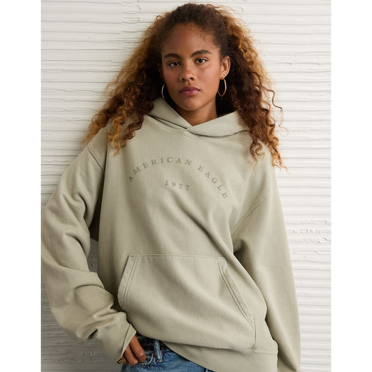 AE Laidback Luxe Heavyweight Graphic Hoodie