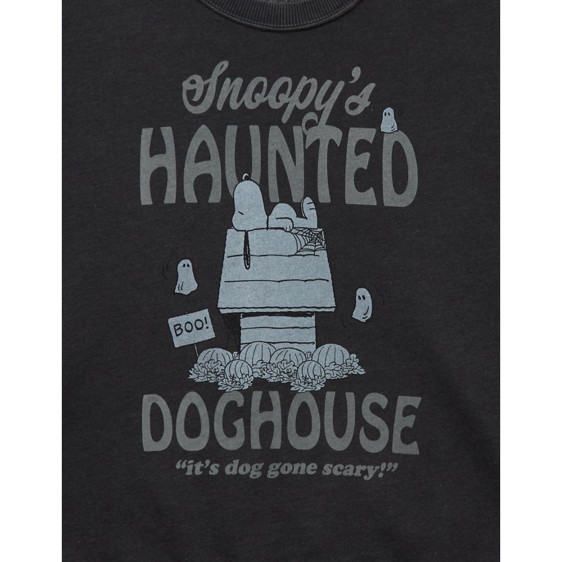 AE Snoopy Halloween Graphic Relaxed Fit Sweatshirt