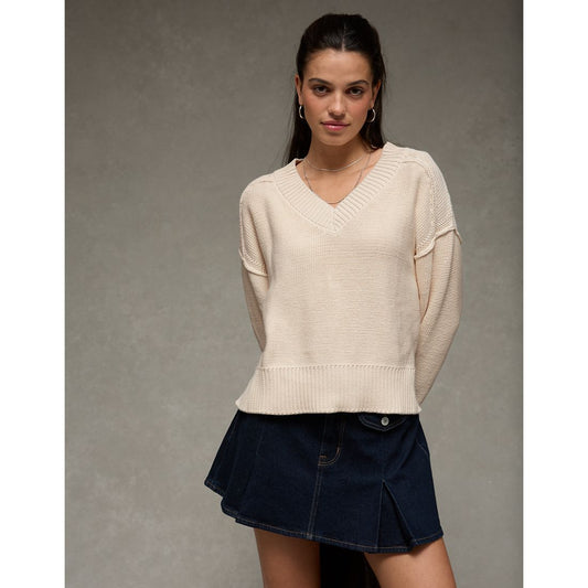 AE Long Weekend V-Neck Sweater