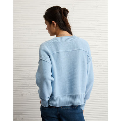 AE Long Weekend V-Neck Sweater