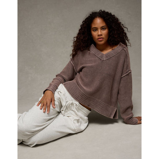 AE Long Weekend V-Neck Sweater