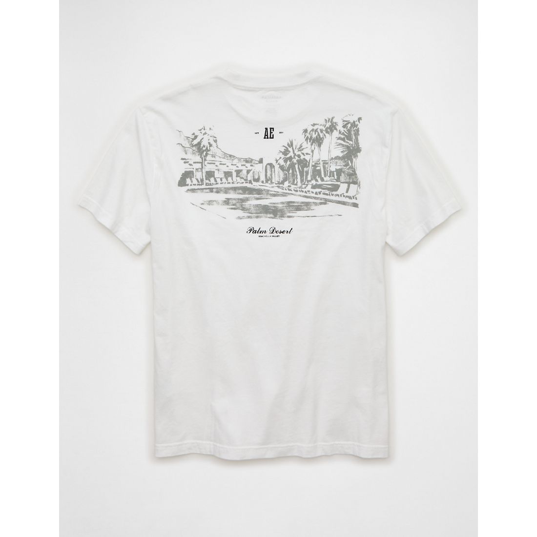 AE Logo Graphic T-Shirt