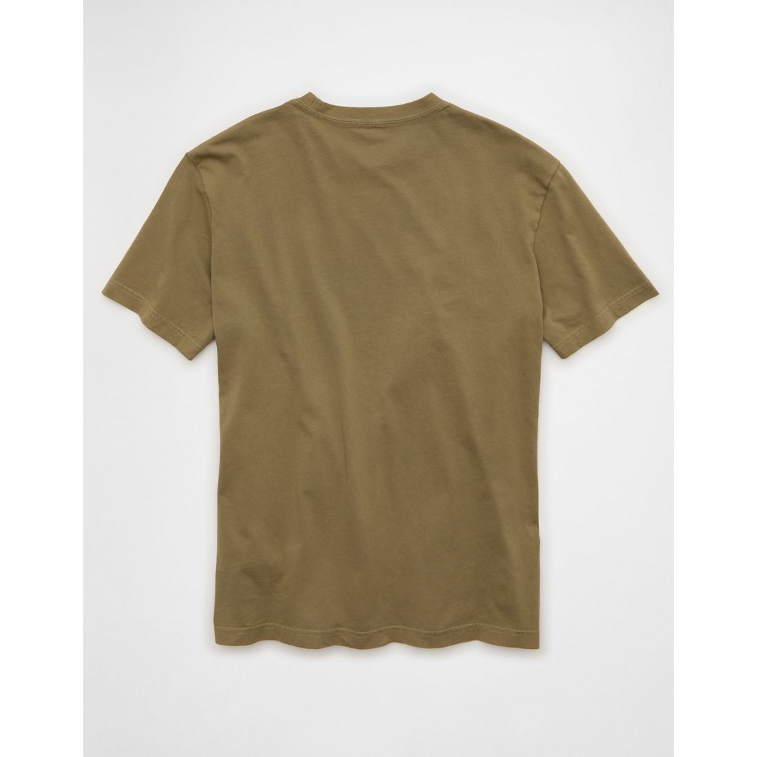 AE Standard Fit Graphic Logo T-Shirt
