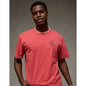 AE Standard Fit Destination Graphic T-Shirt