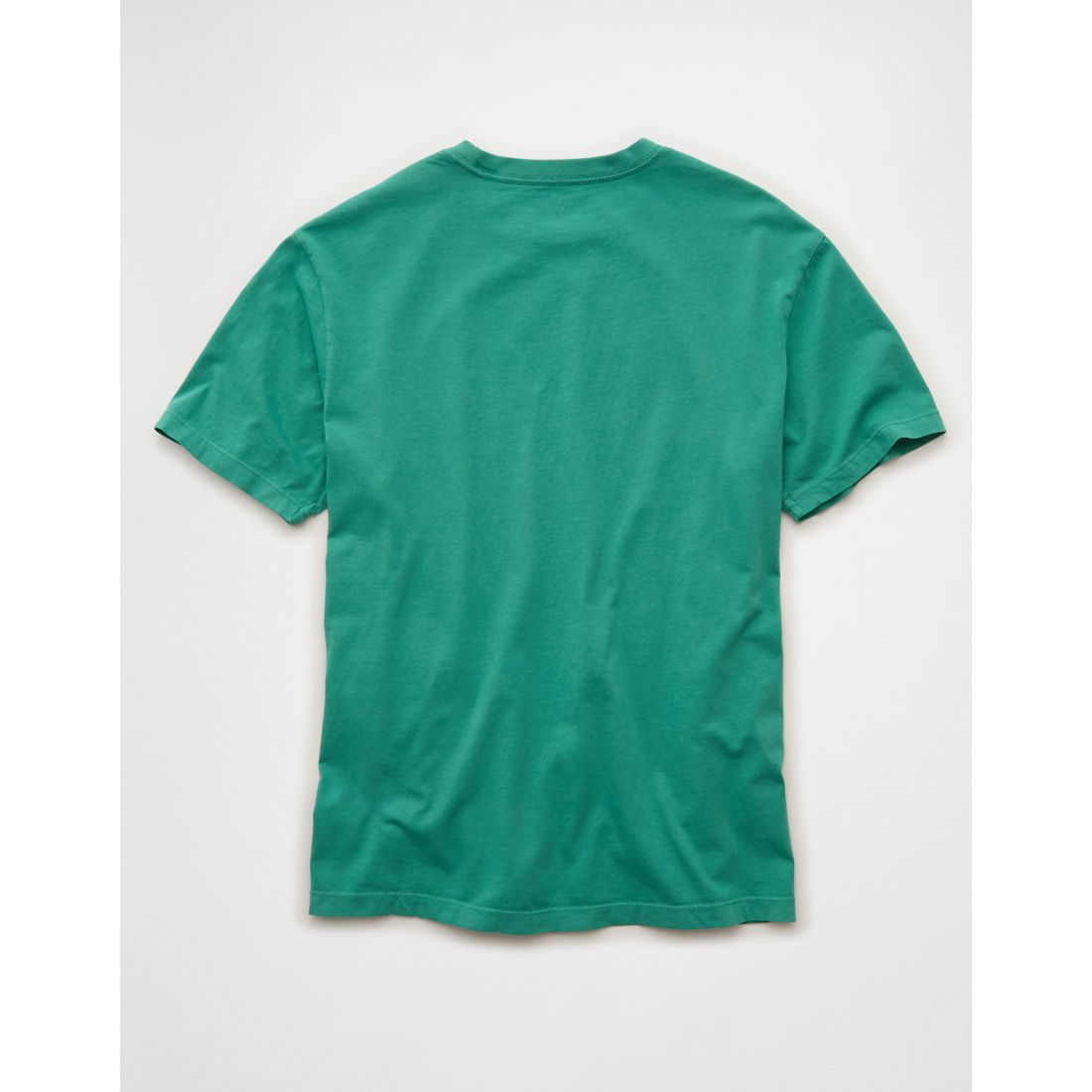 AE Standard Fit Lived-In T-Shirt