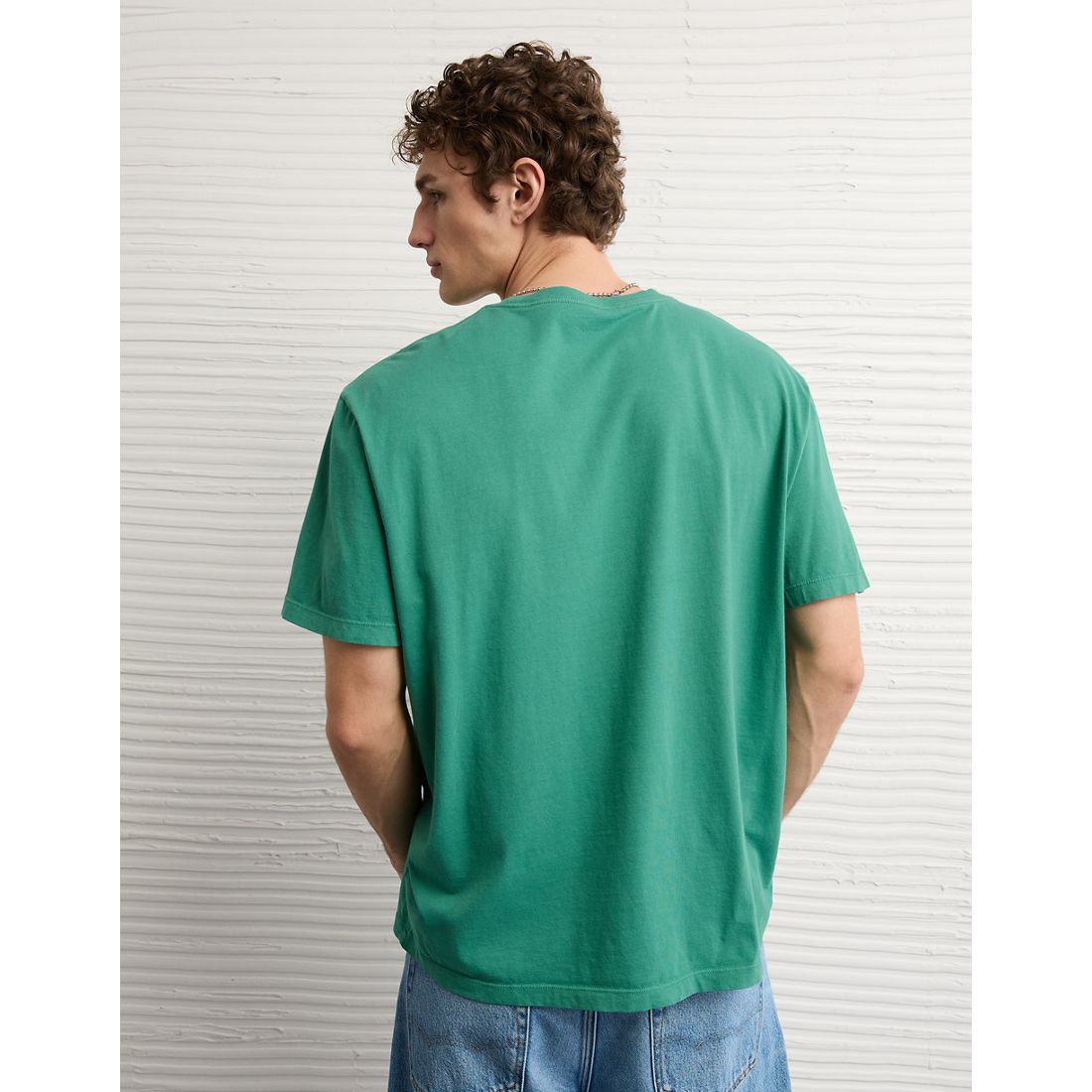 AE Standard Fit Lived-In T-Shirt