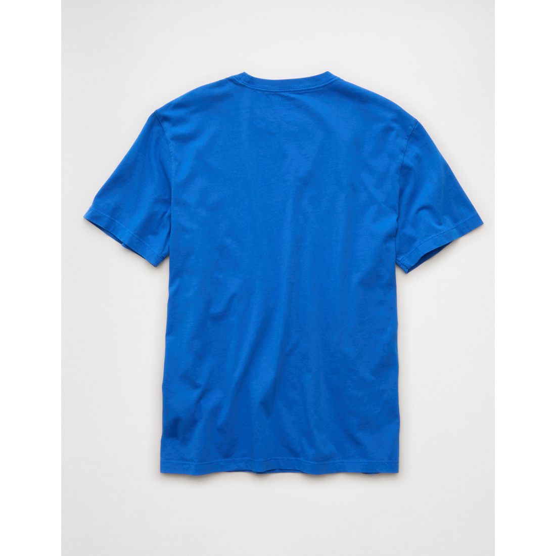 AE Standard Fit Lived-In T-Shirt
