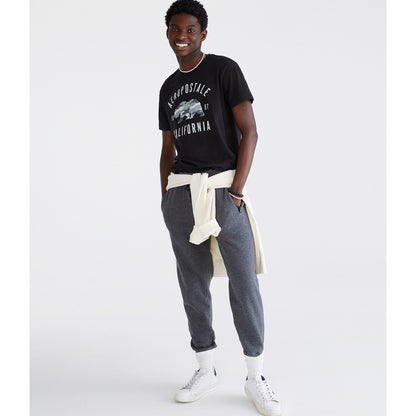 Aeropostale Mens' Aeropostale Camo Bear Graphic Tee