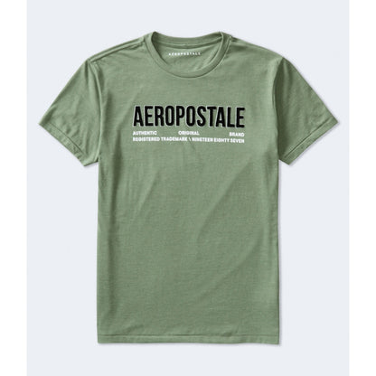 Aeropostale Authentic Logo Flocked Graphic Tee