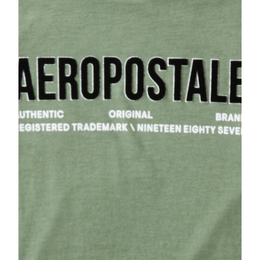 Aeropostale Authentic Logo Flocked Graphic Tee