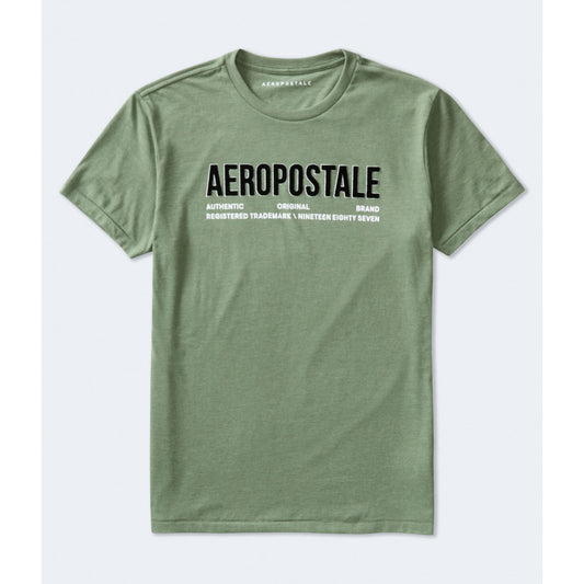 Aeropostale Mens' Aeropostale Authentic Logo Flocked Graphic Tee