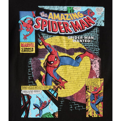 Aeropostale Mens' The Amazing Spider-Man Relaxed Graphic Tee