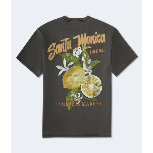 Aeropostale Mens' Santa Monica Lemons Graphic Tee