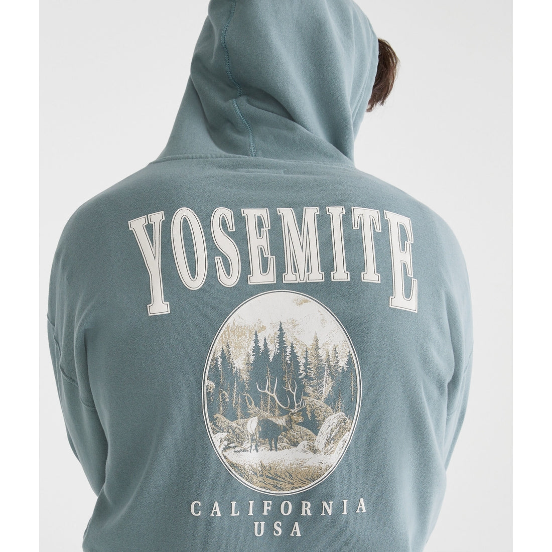 Aeropostale Mens' Yosemite California Pullover Hoodie