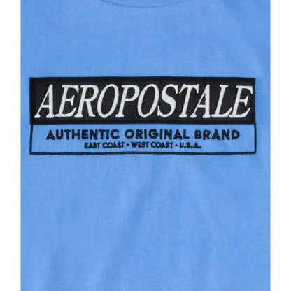 Aeropostale Mens' Aeropostale Box Logo Applique Graphic Tee