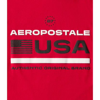 Aeropostale USA Flag Graphic Tee