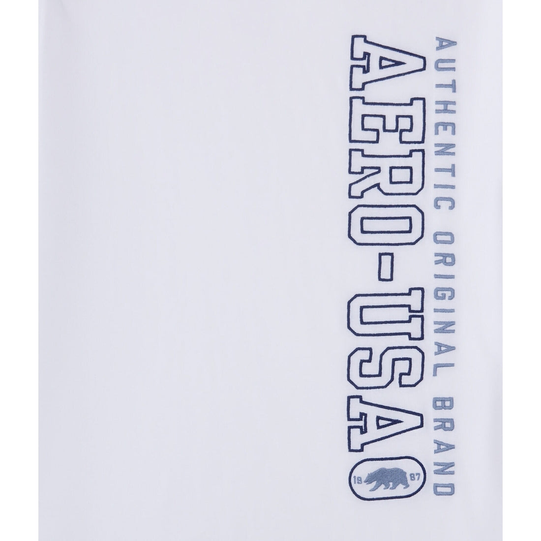 Aeropostale Mens' Aero-USA Bear Graphic Tee