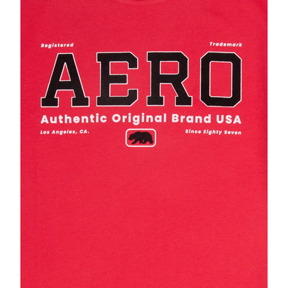 Aeropostale Mens' Original Brand Flocked Graphic Tee