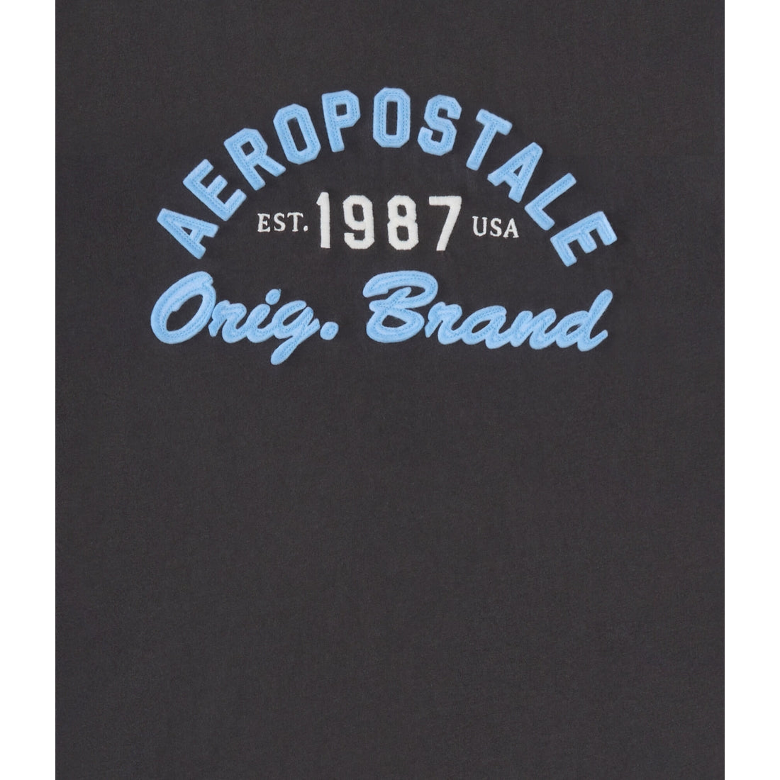 Aeropostale 1987 Applique Graphic Tee